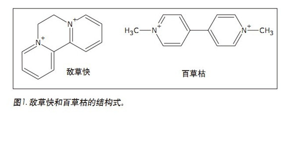 ߰ٲݿݺ͔ݿķxȣʹCORTECS UPLC HILICɫVMˮ