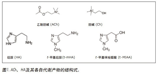 CORTECS UPLC HILICɫV_(ki)l(f)һN܉?q)XҺ(CSF)đAMxa(chn)ͬr(sh)M(jn)жUPLC/MS/MSy(c)