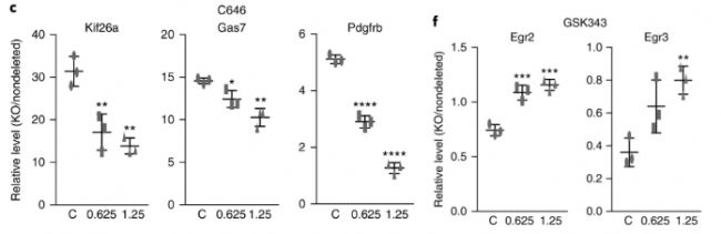 RNA-seqóMettl14(do)½MȫM(ni)l(f)׃ĶӰ푻_(d)