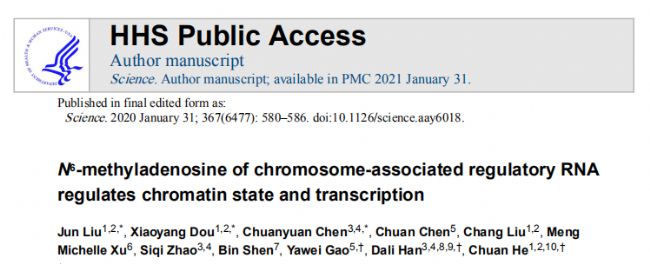 N6-methyladenosine of chromosome-associated regulatory RNA regulates chromatin state and transcription 