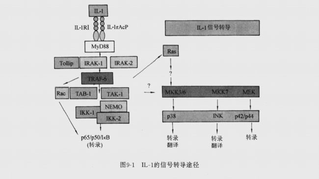 ׼(x)- 1̖(ho)D(zhun)(do);